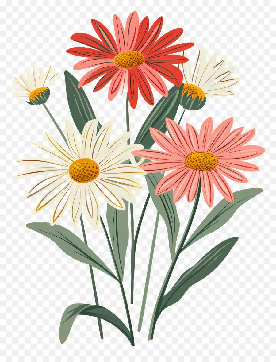 Fleurs De Marguerite，Fleurs Roses PNG