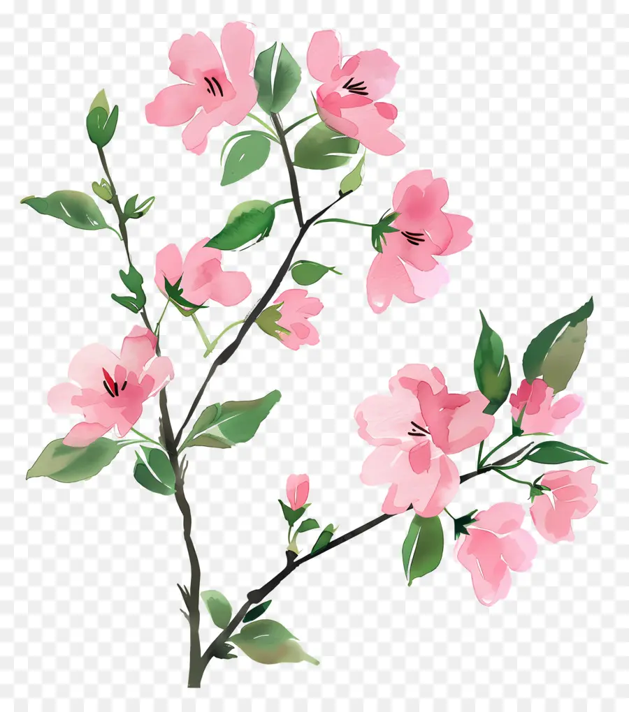 Fleur De Cerisier，Fleurs Roses PNG