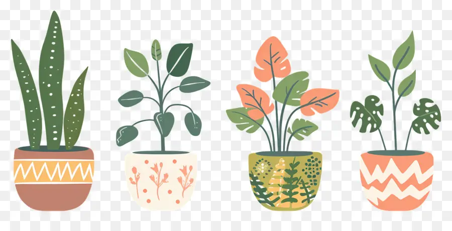 Fleurs En Pots，Plantes En Pot à Motifs PNG