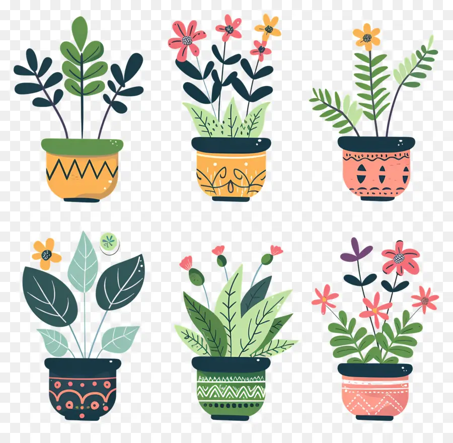 Fleurs En Pots，Plantes En Pot Colorées PNG