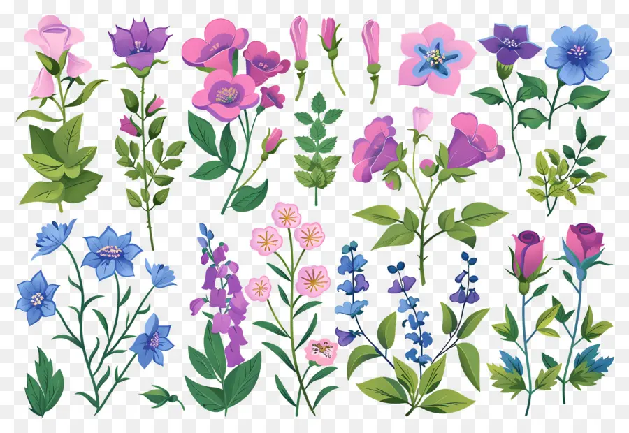 Fleurs Lumineuses，Collection Florale PNG