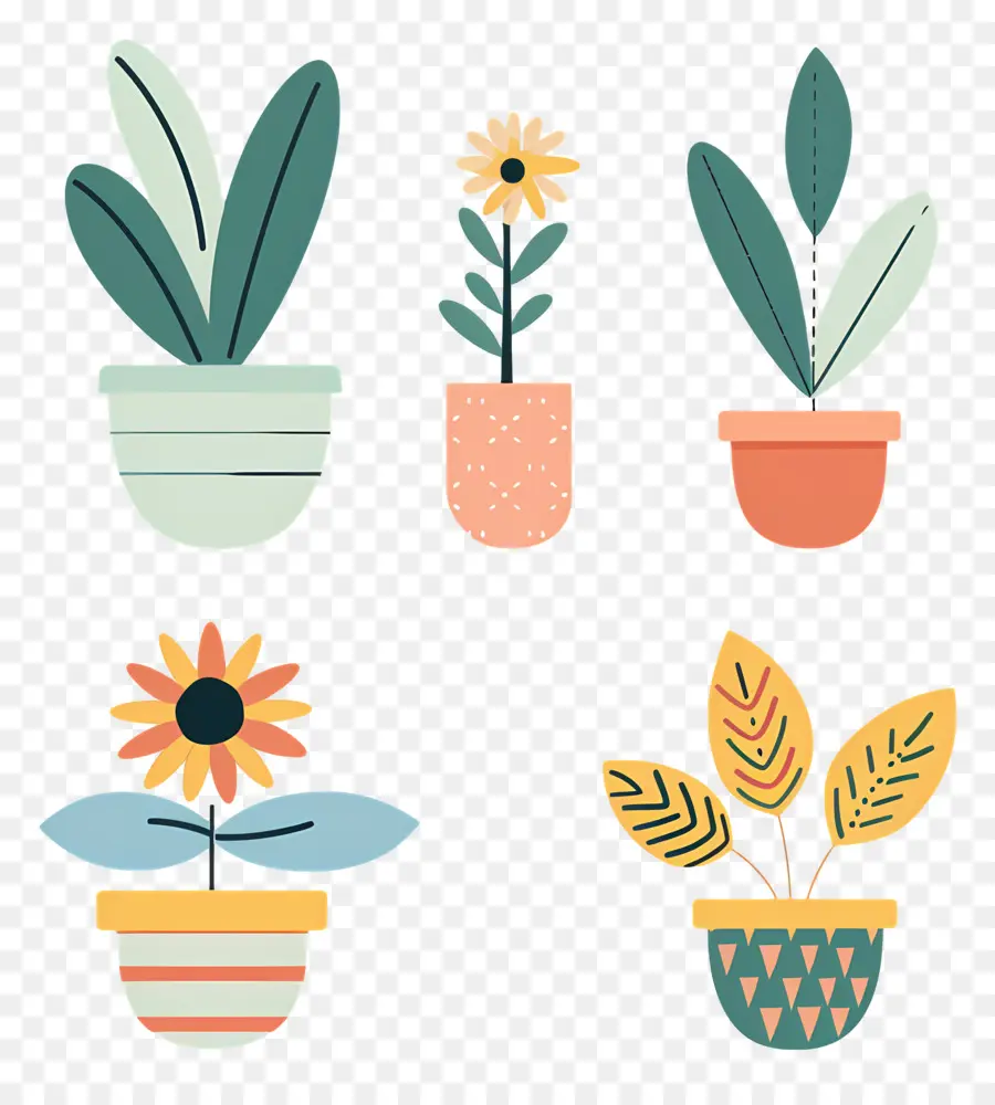 Plantes En Pot，Plantes En Pot Colorées PNG