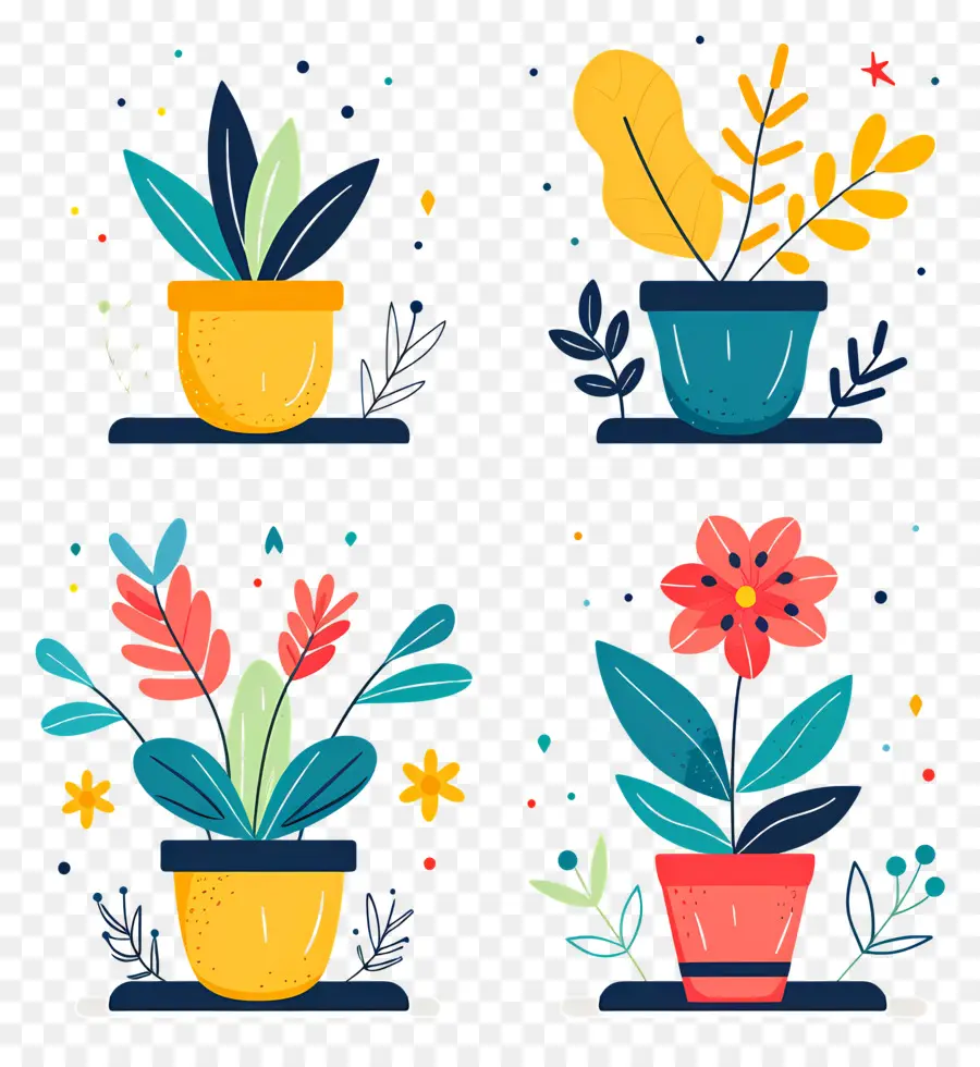 Plantes En Pot，Plantes En Pot Colorées PNG