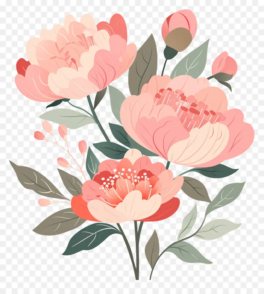 Fleurs De Pivoine，Fleurs PNG