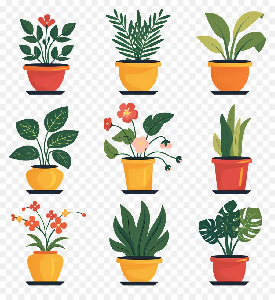 Fleurs En Pots，Plantes En Pot PNG