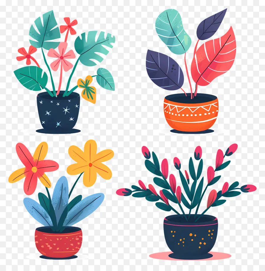 Plantes En Pot，Plantes En Pot Colorées PNG