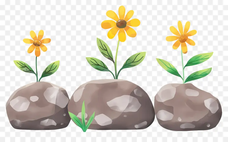 Rochers，Fleurs Jaunes PNG