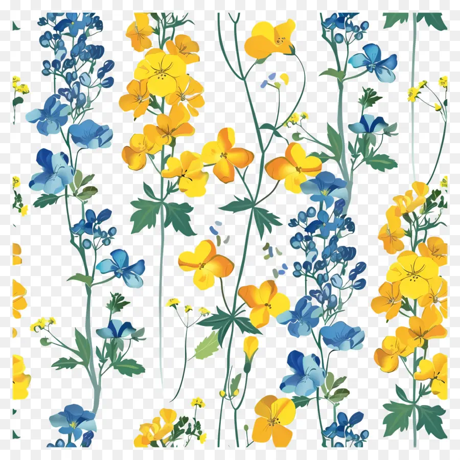 Fleurs De Colza，Fleurs Jaunes Et Bleues PNG