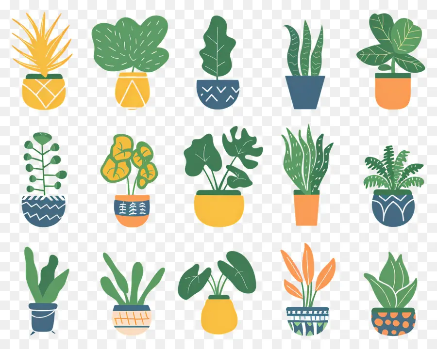 Fleurs En Pots，Plantes En Pot à Motifs PNG