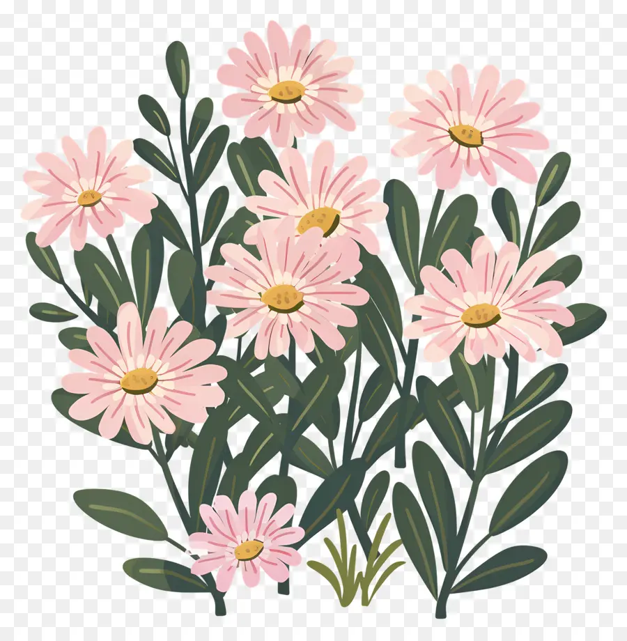 Fleurs De Marguerite，Fleurs Roses PNG