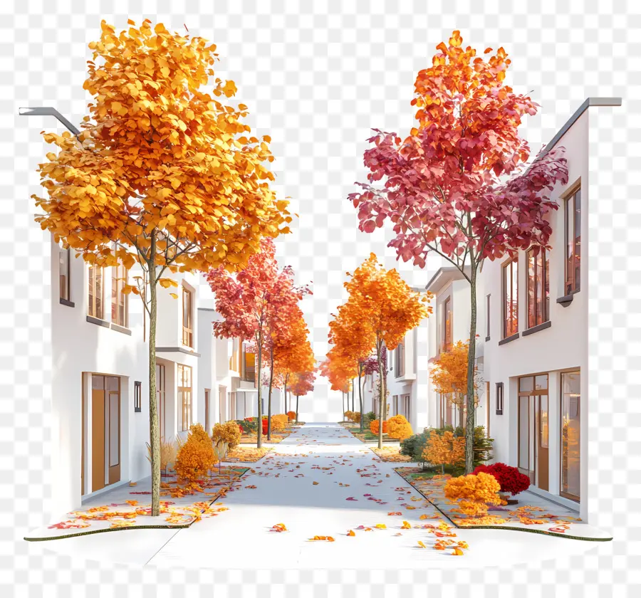 Rue D'automne，Arbres PNG