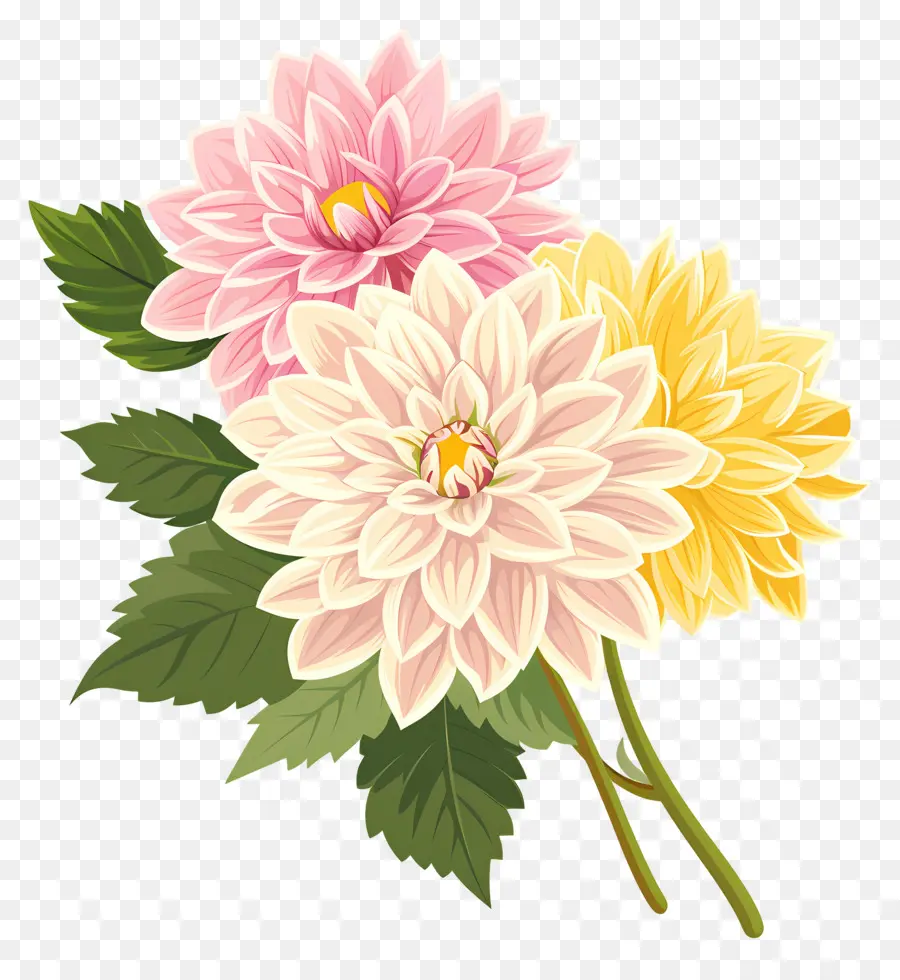 Fleur De Dahlia，Fleurs Roses Et Jaunes PNG