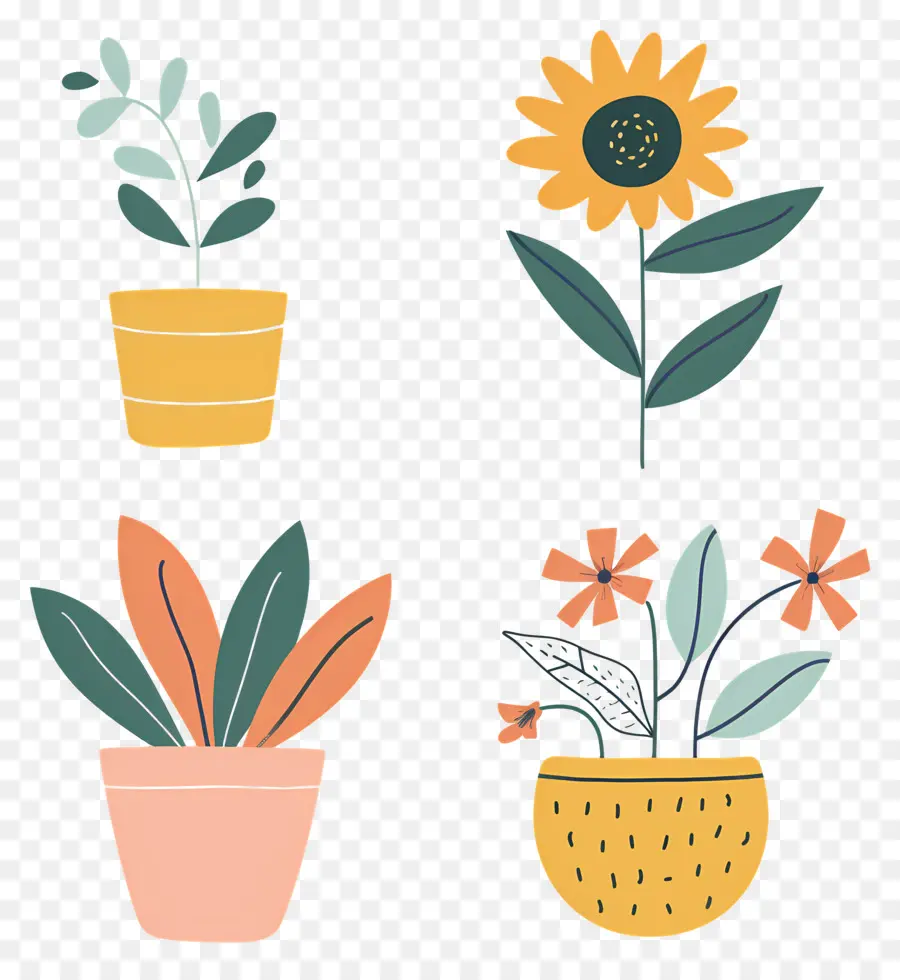 Plantes En Pot，Plantes En Pot Colorées PNG