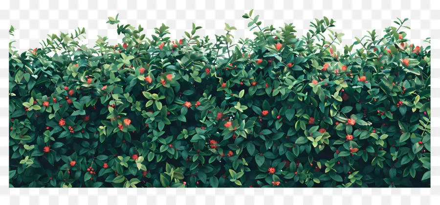 Buisson De Fleurs，Fleurs Rouges PNG