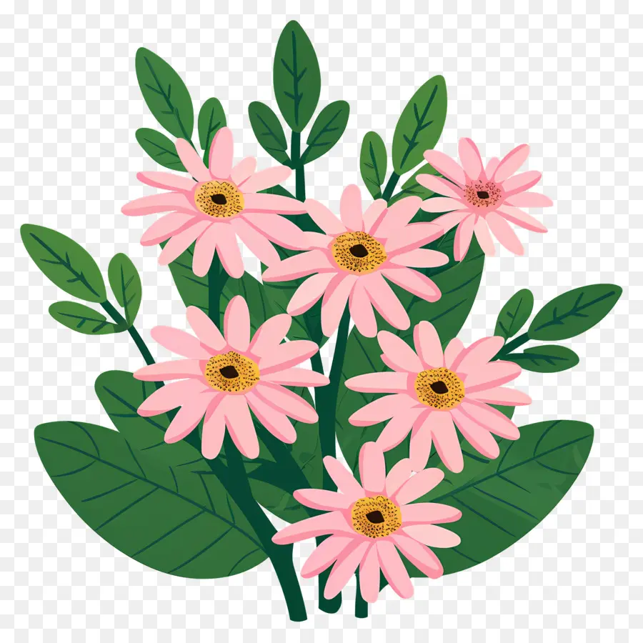 Fleurs De Marguerite，Fleurs Roses PNG