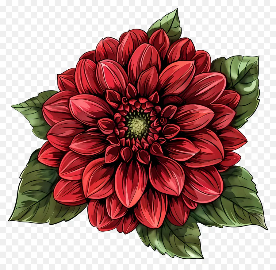 Fleur De Dahlia，Fleur PNG