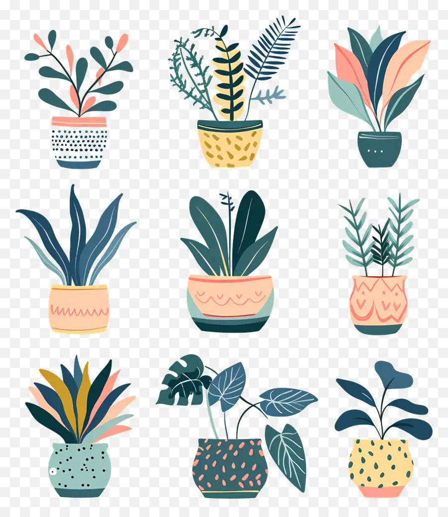 Fleurs En Pots，Plantes En Pot Colorées PNG