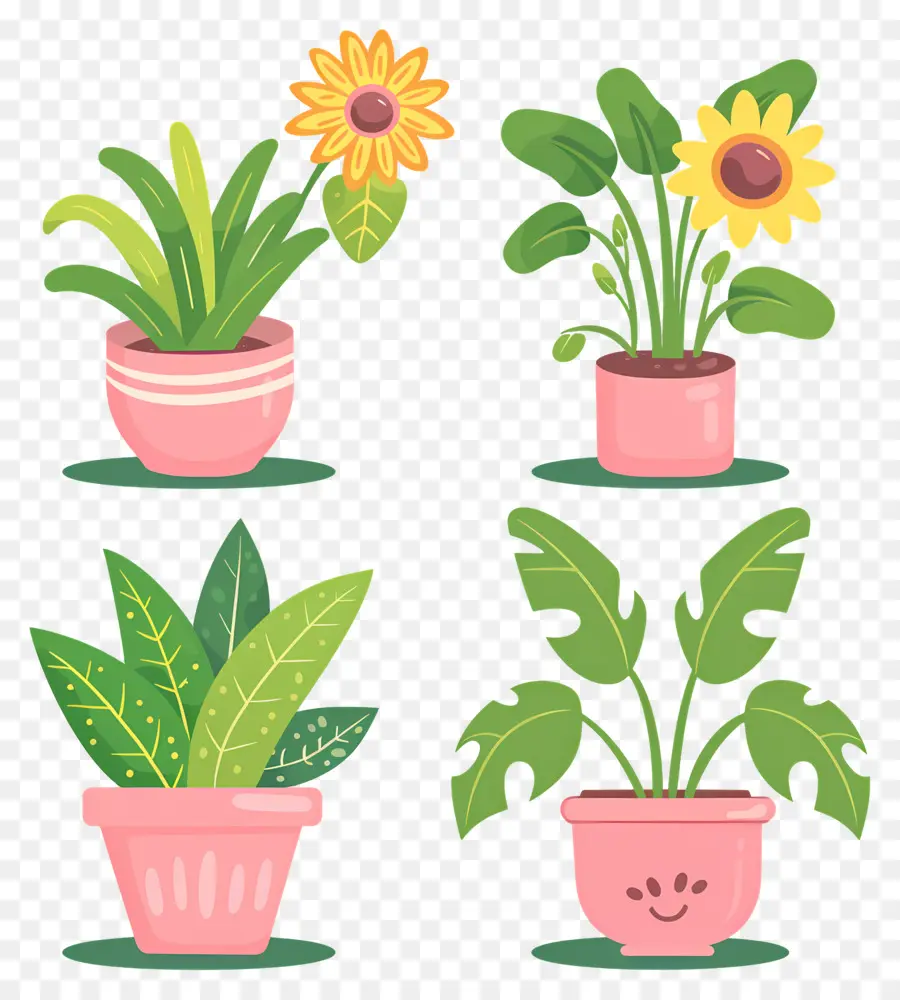 Plantes En Pot，Pots De Tournesol PNG