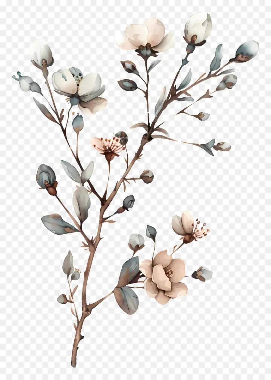 Fleurs Séchées，Fleurs De Cerisier PNG