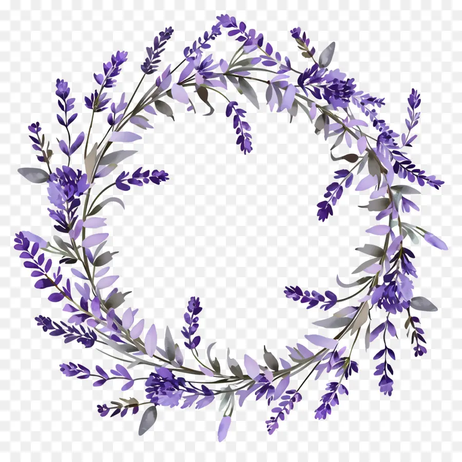 Couronne De Lavande，Feuilles PNG