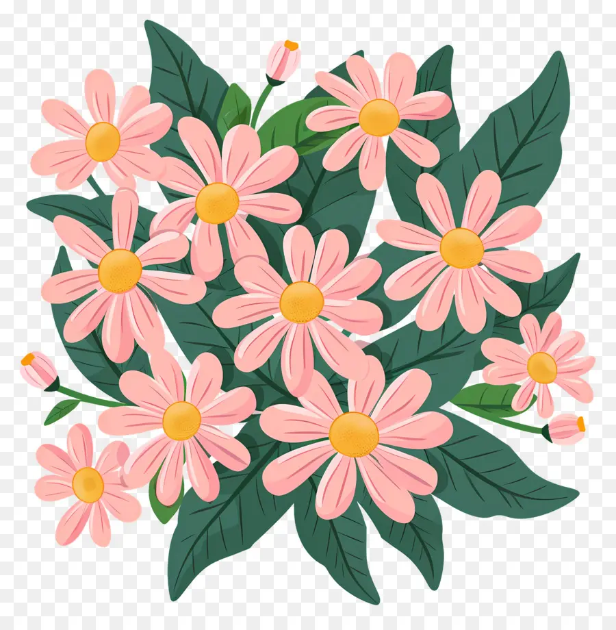 Fleurs De Marguerite，Marguerites Roses PNG