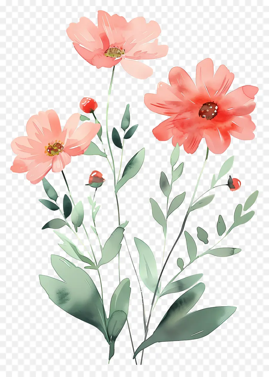 Fleurs Aquarelles，Fleurs Rouges PNG