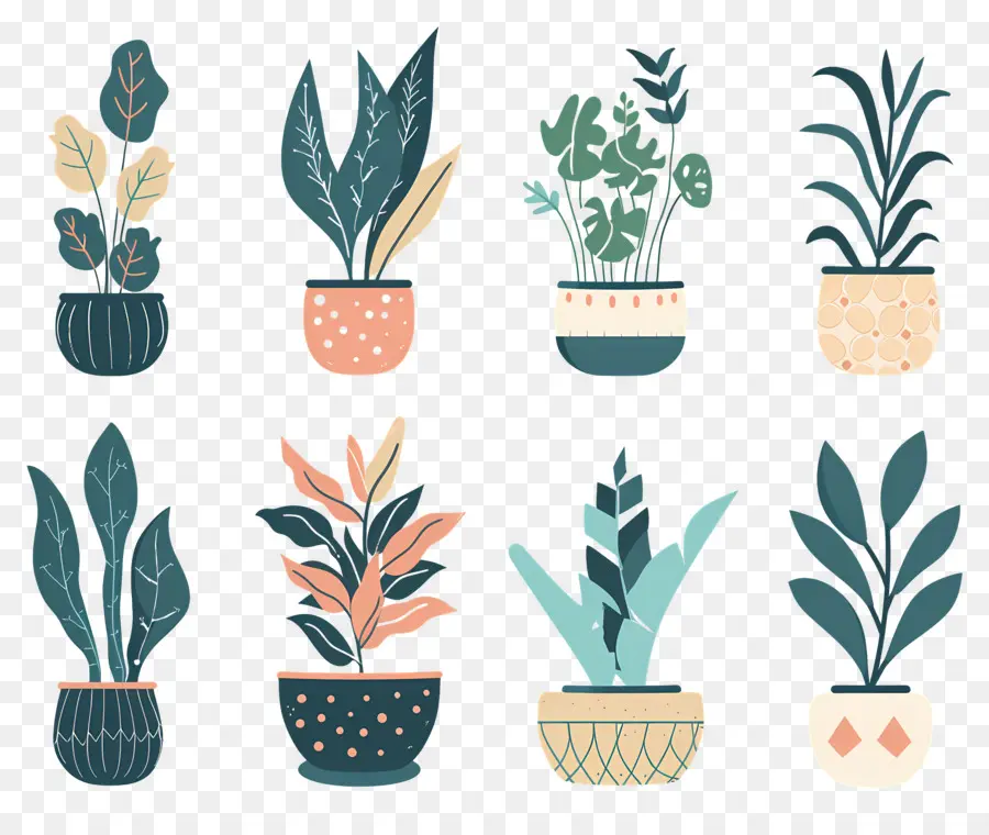 Fleurs En Pots，Plantes En Pot à Motifs PNG