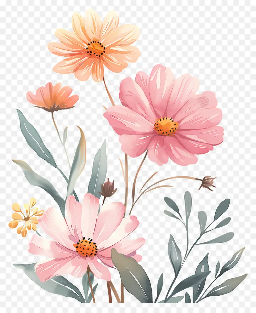 Fleurs Aquarelles，Fleurs PNG