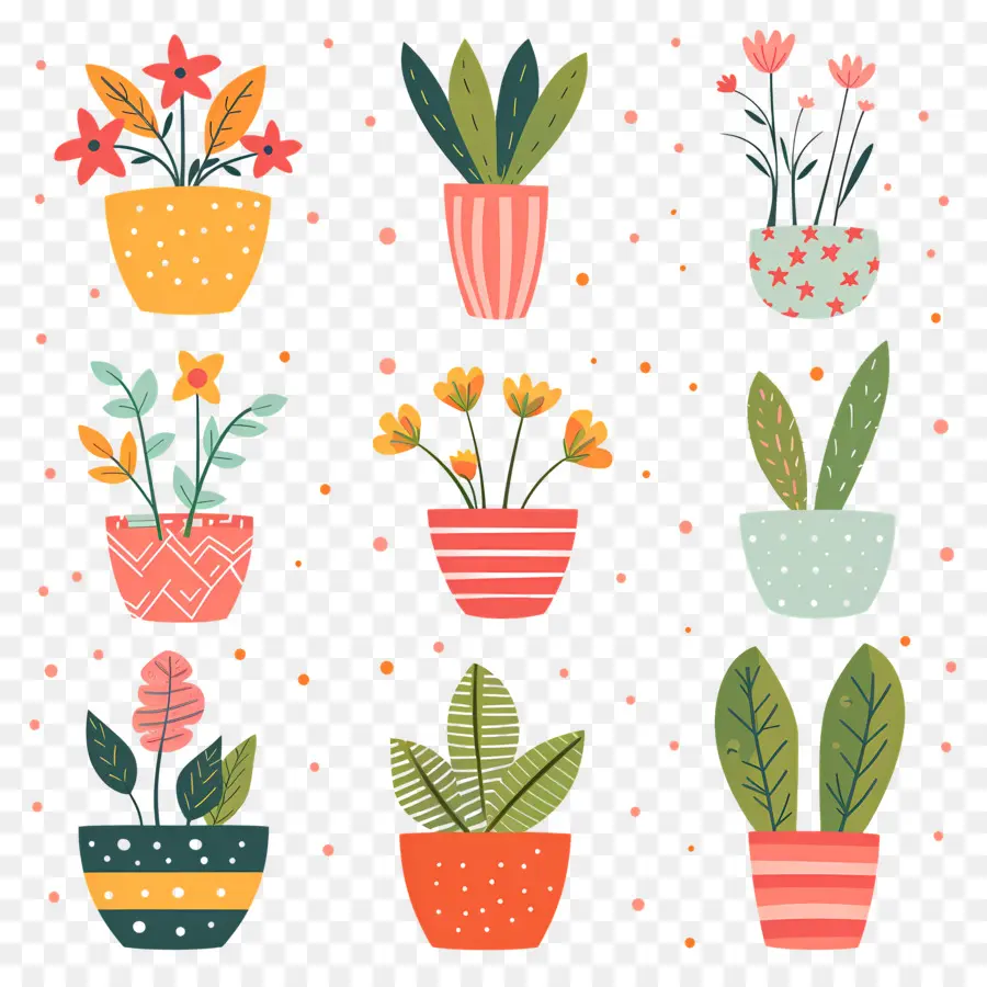 Fleurs En Pots，Plantes En Pot Colorées PNG