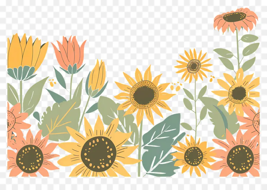 Bordure De Tournesols，Tournesols PNG