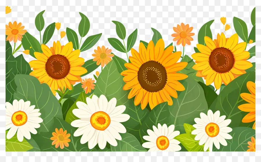 Bordure De Tournesols，Tournesols D'affilée PNG