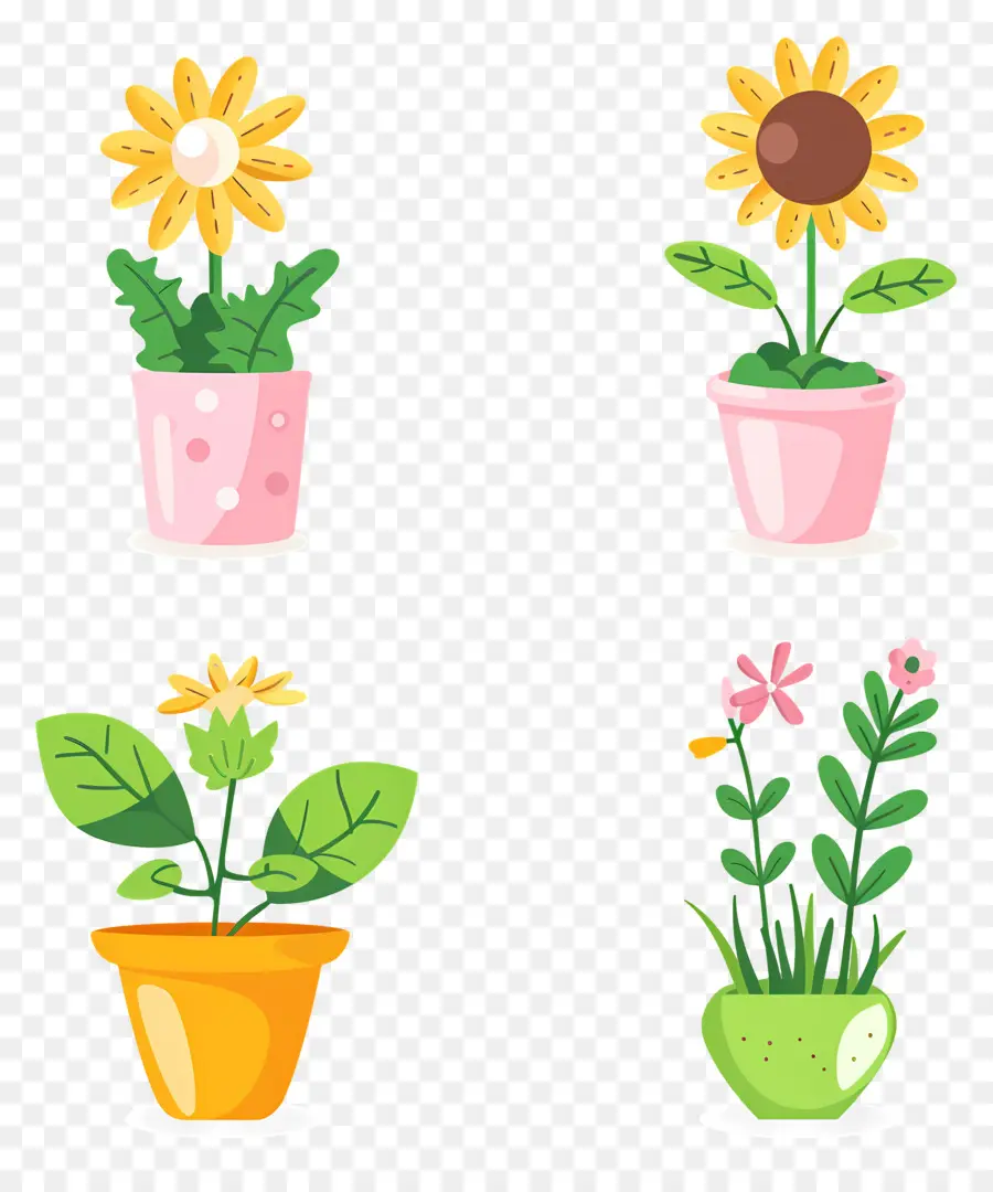 Plantes En Pot，Plantes En Pot Colorées PNG