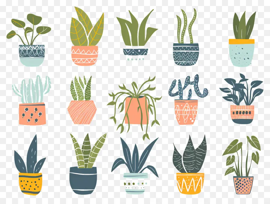 Fleurs En Pots，Plantes En Pot à Motifs PNG