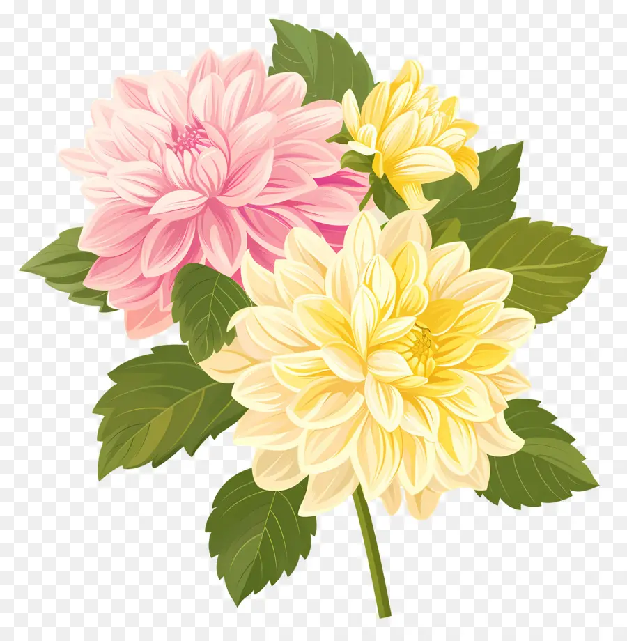 Fleur De Dahlia，Fleurs Roses Et Jaunes PNG