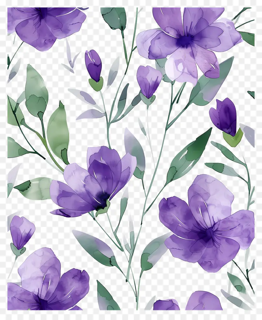 Fleurs Aquarelles，Motif Floral Violet PNG