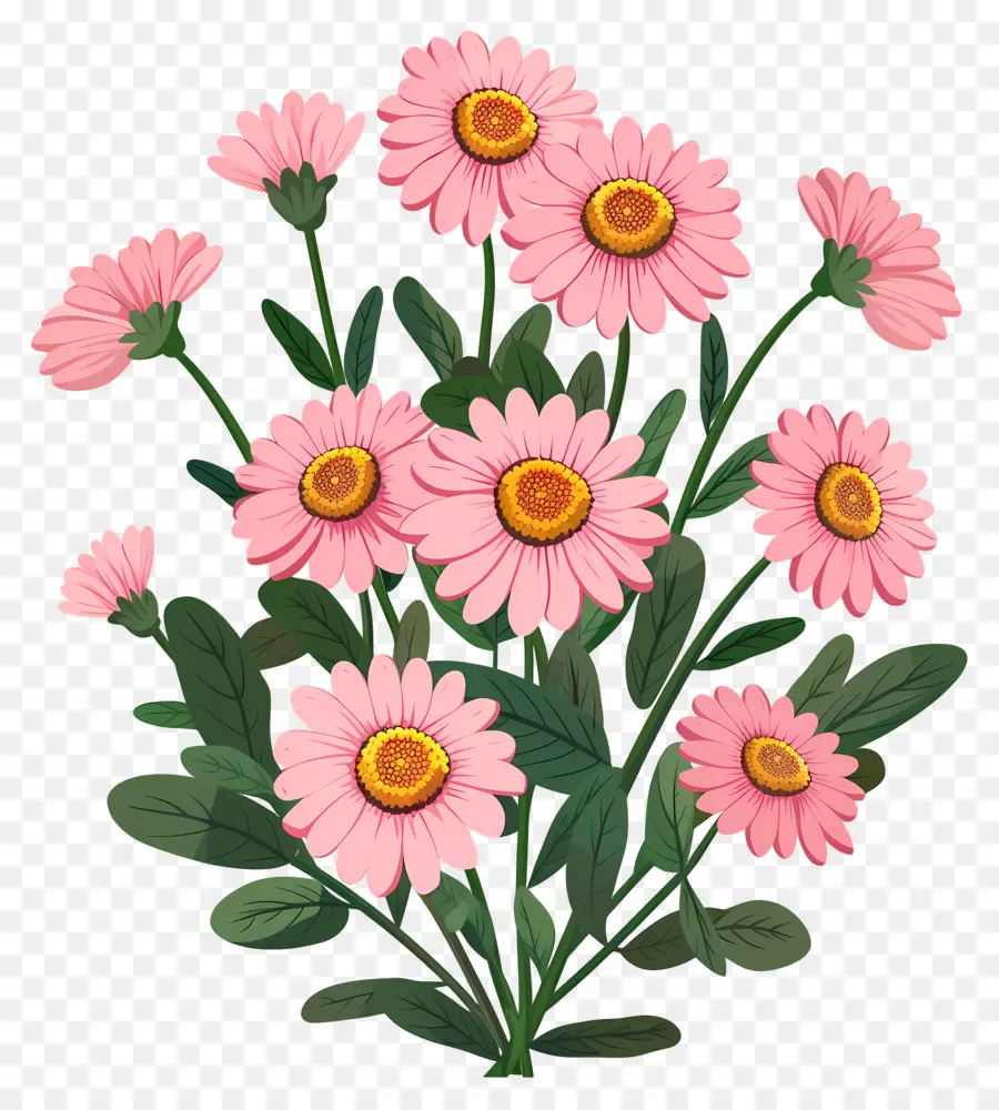 Fleurs De Marguerite，Fleurs Roses PNG