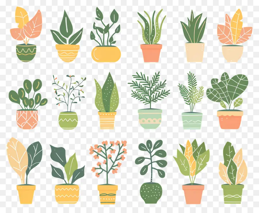 Fleurs En Pots，Plantes En Pot à Motifs PNG