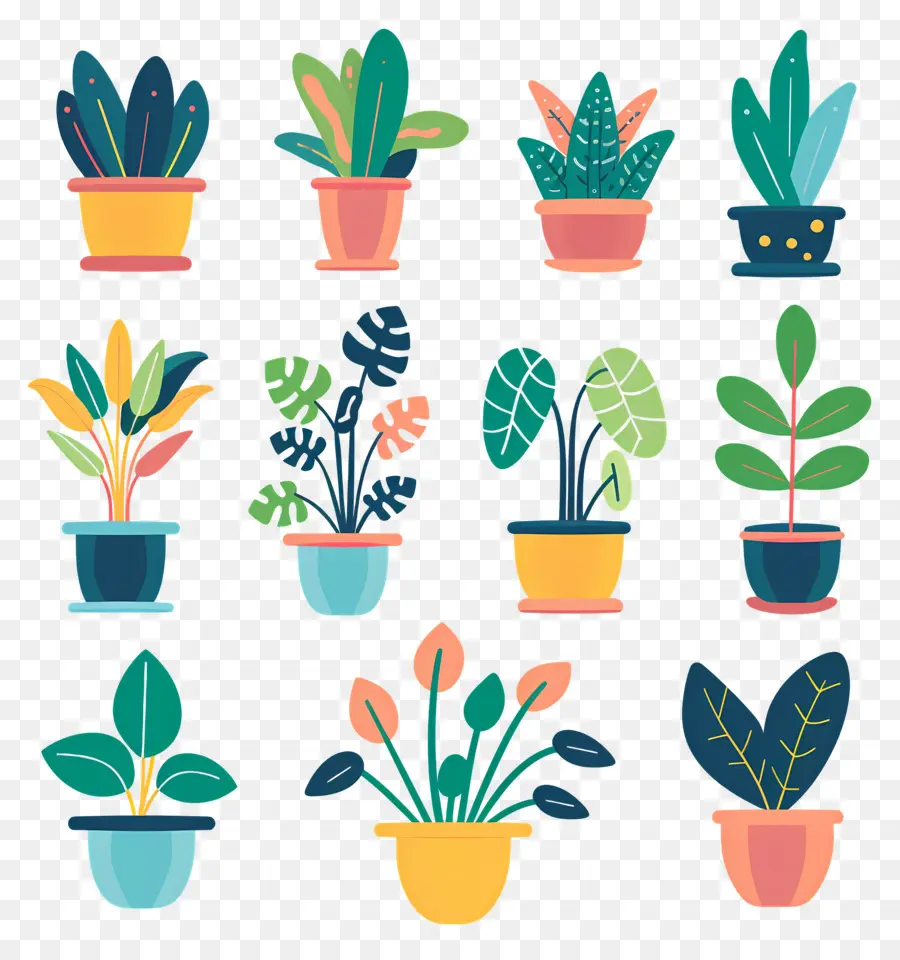 Fleurs En Pots，Plantes En Pot Colorées PNG