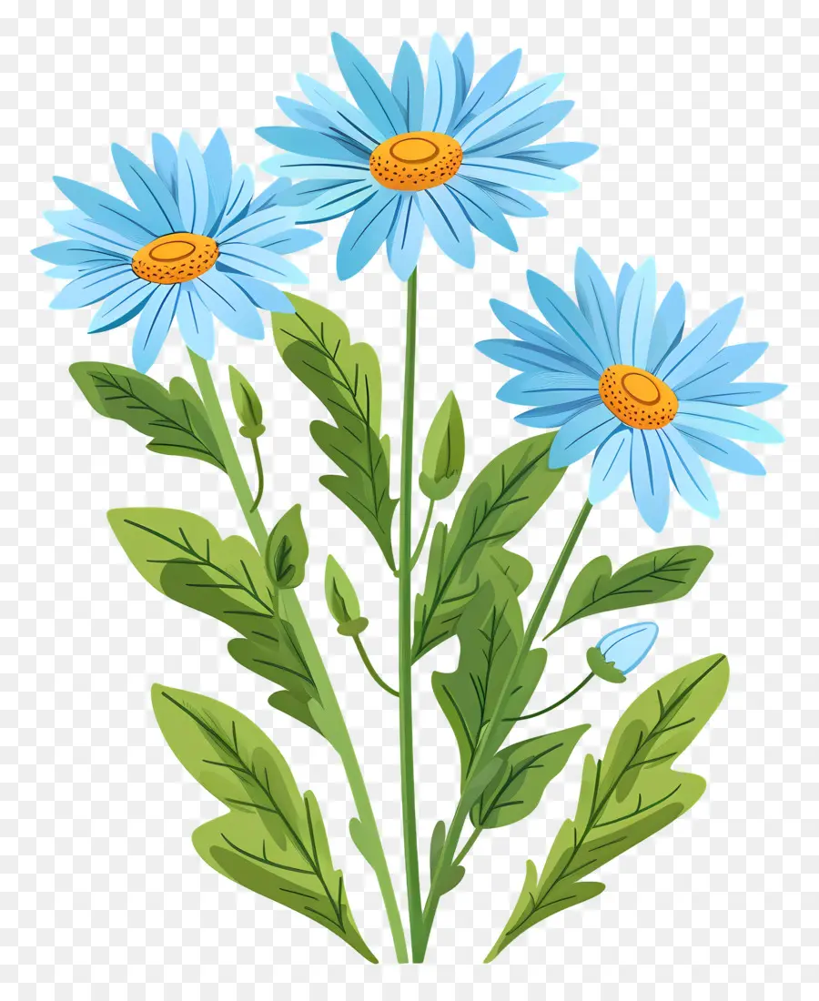 Fleurs De Marguerite，Marguerites Bleues PNG