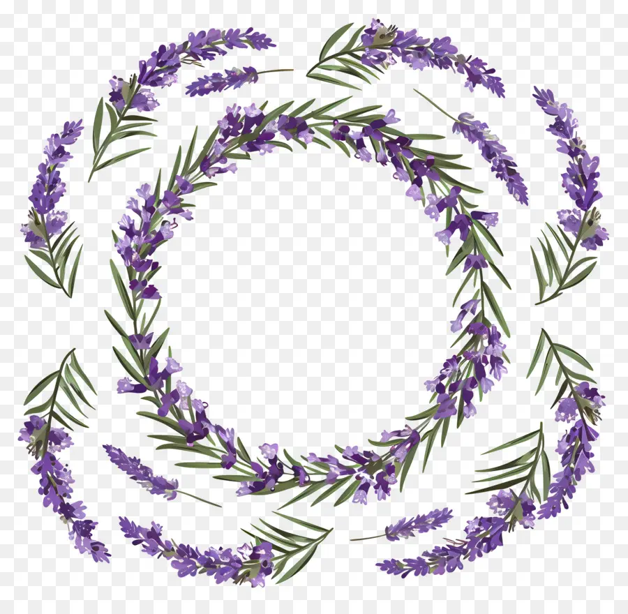 Couronne De Lavande，Feuilles PNG