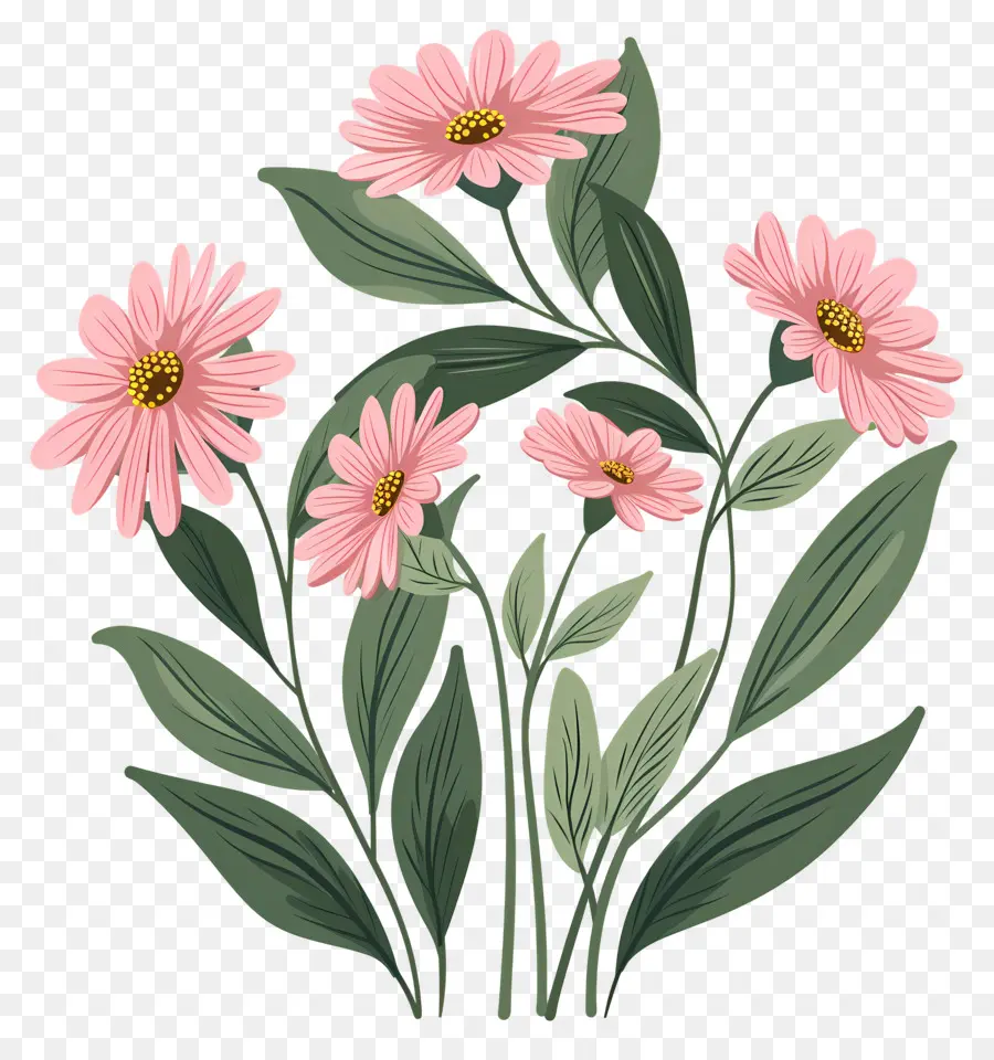 Fleurs De Marguerite，Fleurs Roses PNG