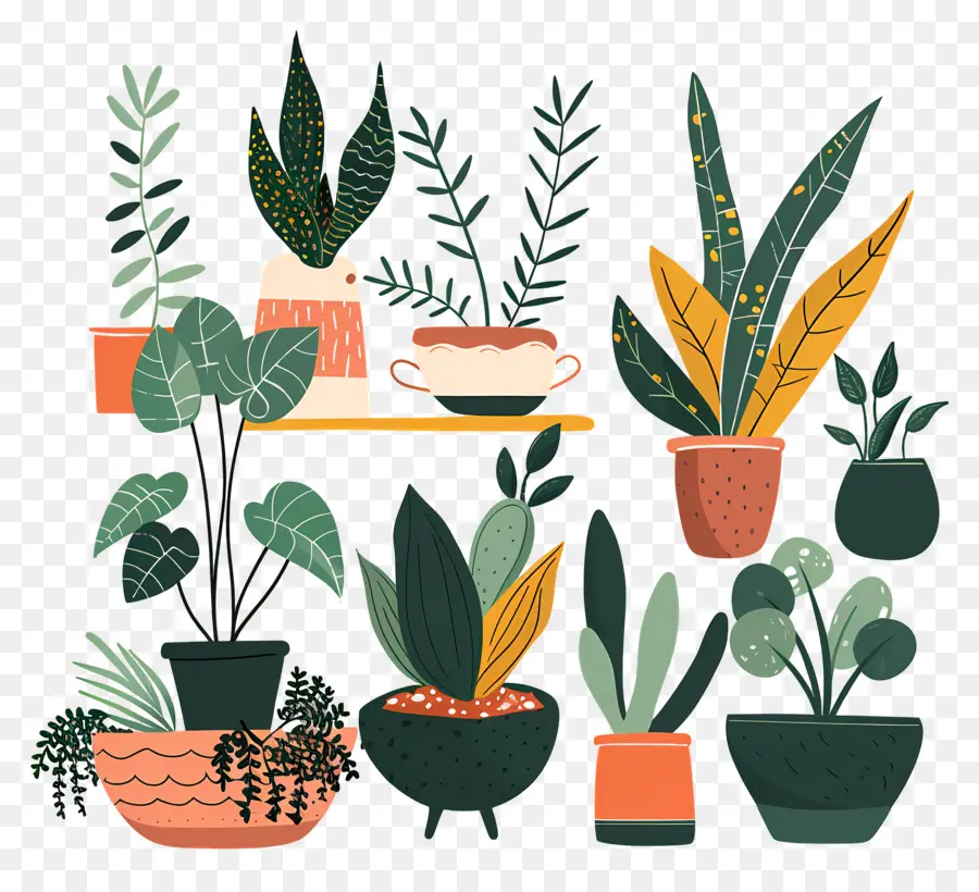 Fleurs En Pots，Plantes En Pot Jaunes PNG