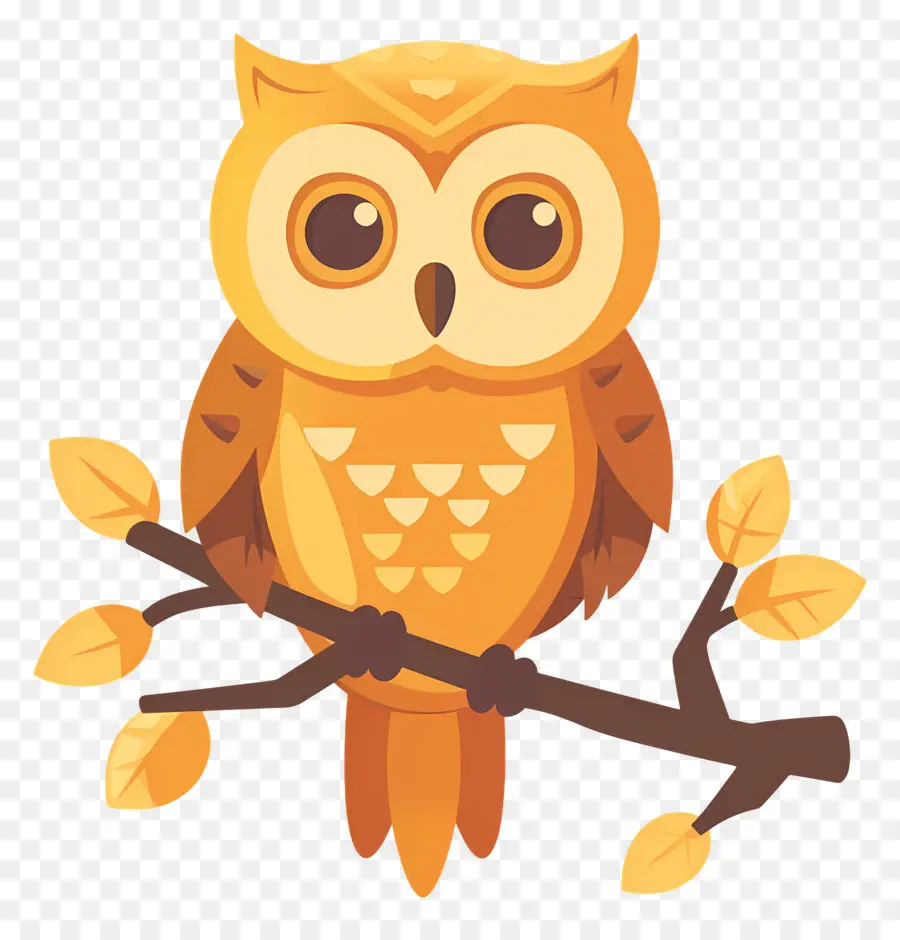 Chouette Mignonne，Hibou PNG