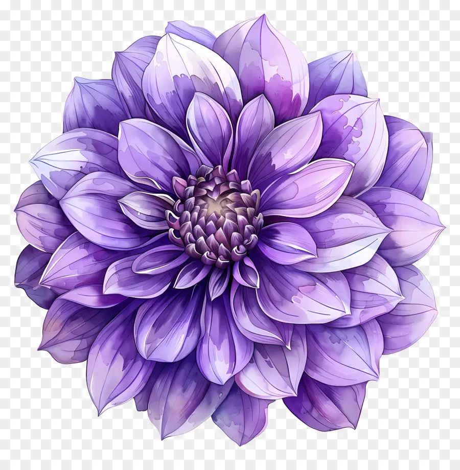 Fleur De Dahlia，Fleur Violette PNG