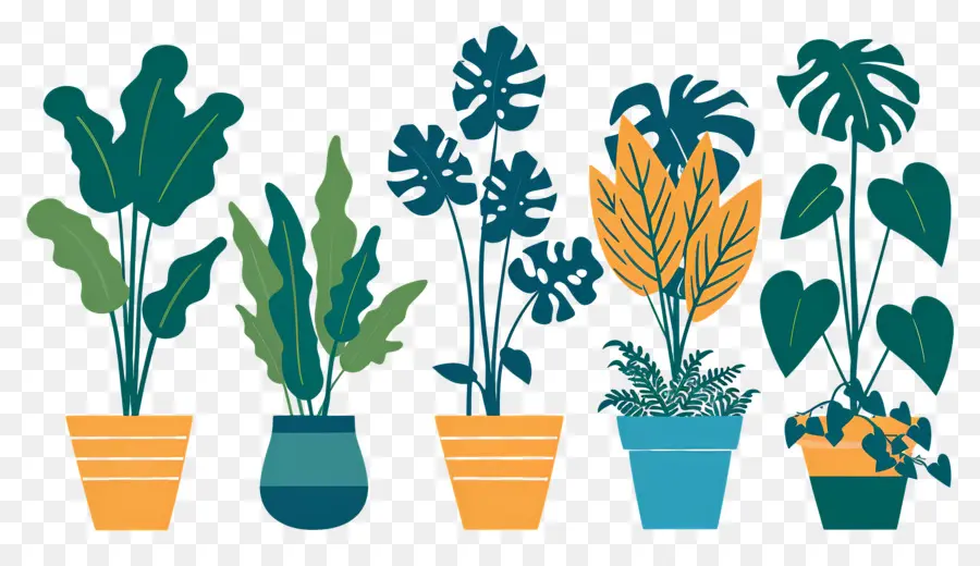 Fleurs En Pots，Plantes En Pot à Motifs PNG