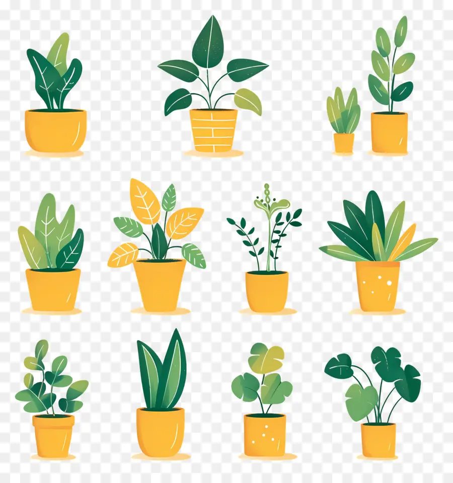 Fleurs En Pots，Plantes En Pot PNG