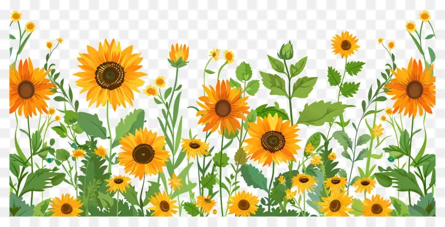 Bordure De Tournesols，Tournesols Et Fleurs Sauvages PNG