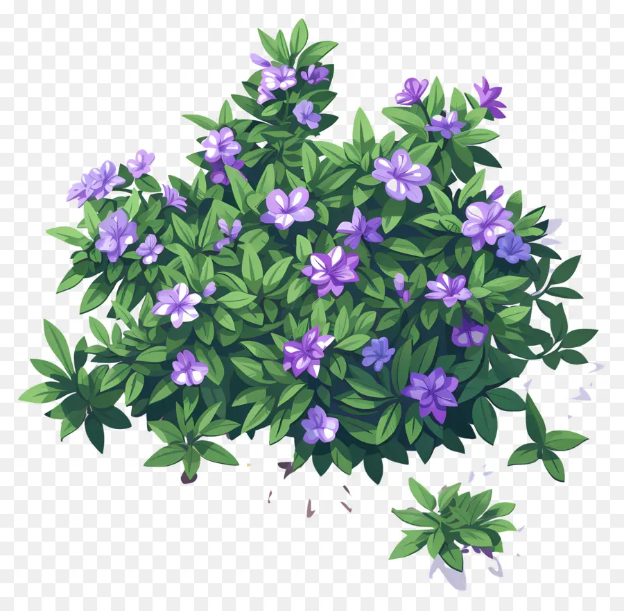 Buisson De Fleurs，Buisson Vert à Fleurs Violettes PNG