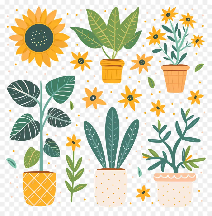 Plantes En Pot，Fleurs PNG