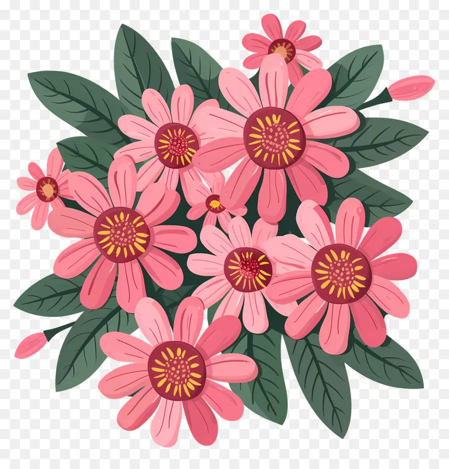 Fleurs De Marguerite，Marguerites Roses PNG